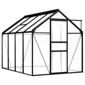 Greenhouse Anthracite Aluminum 51.1 ft¬≤