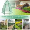 5.5 x 5.5 x 6 Feet Portable Mini Greenhouse with All-Weather PE Cover