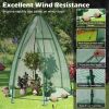 5.5 x 5.5 x 6 Feet Portable Mini Greenhouse with All-Weather PE Cover