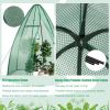 5.5 x 5.5 x 6 Feet Portable Mini Greenhouse with All-Weather PE Cover