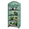 Garden Greenhouse Hot House Tomato Plant Warm House