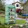 Garden Greenhouse Hot House Tomato Plant Warm House