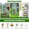 Garden Greenhouse Hot House Tomato Plant Warm House